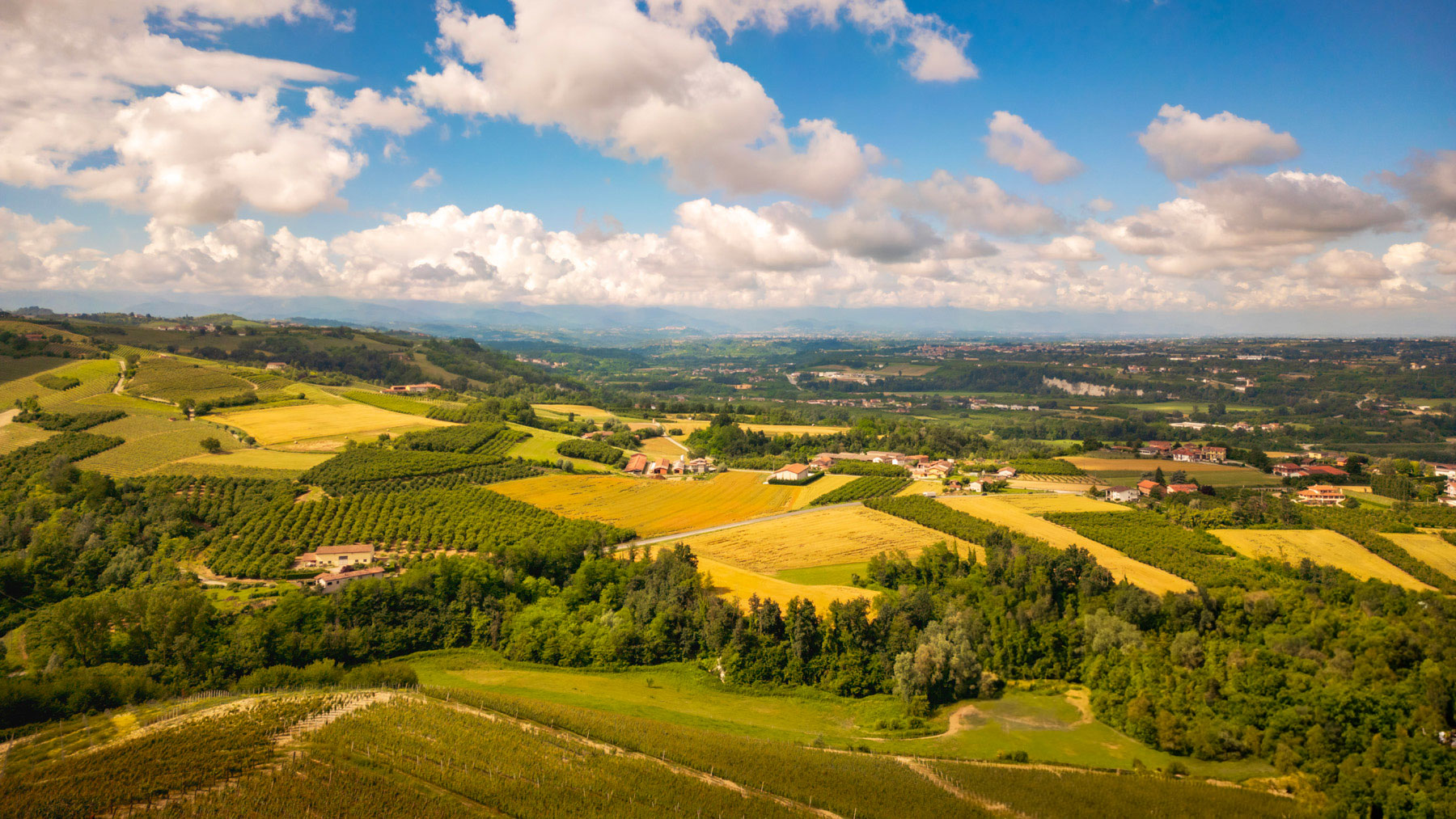 Manfredi Cantine