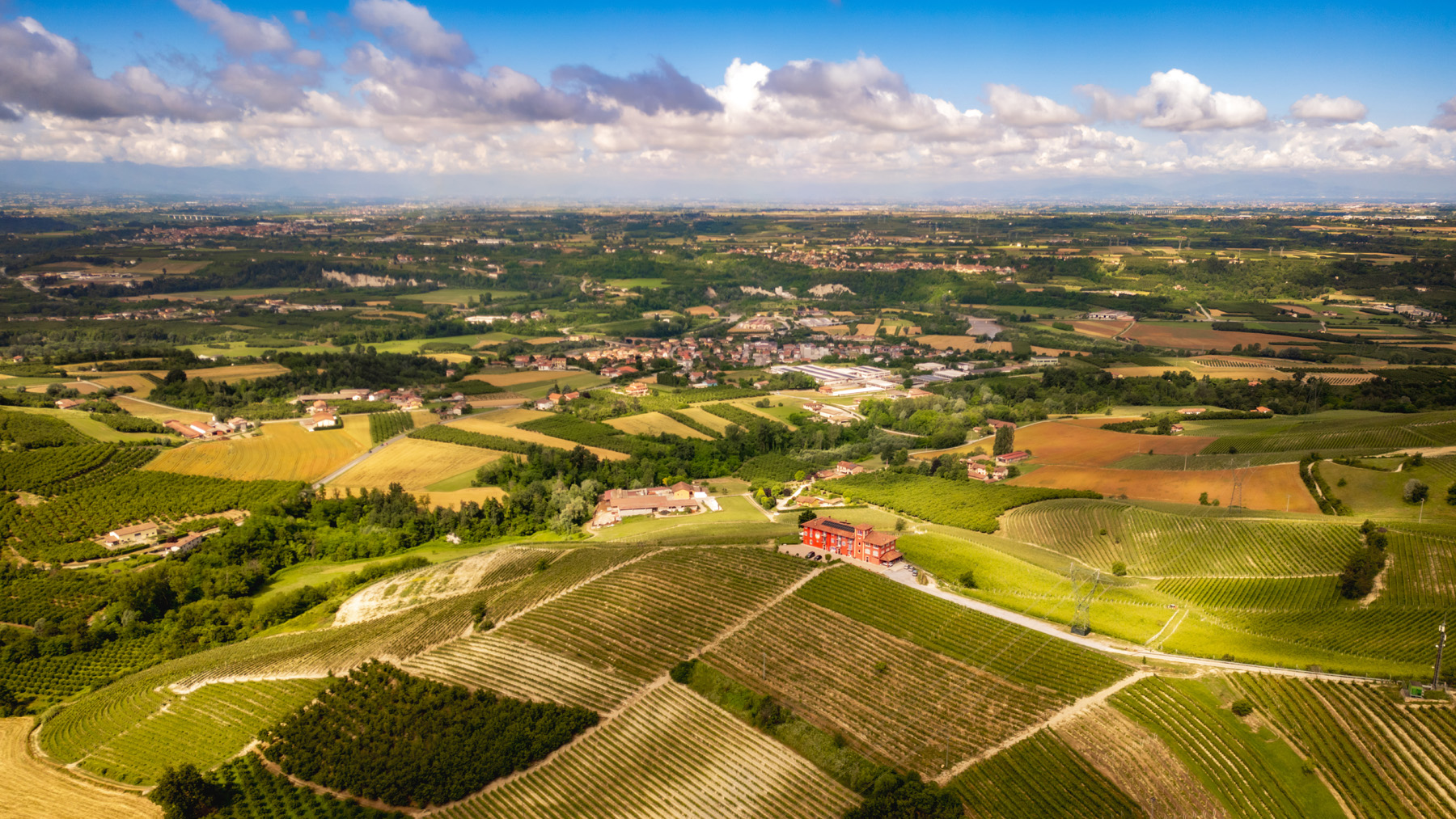 Manfredi Cantine