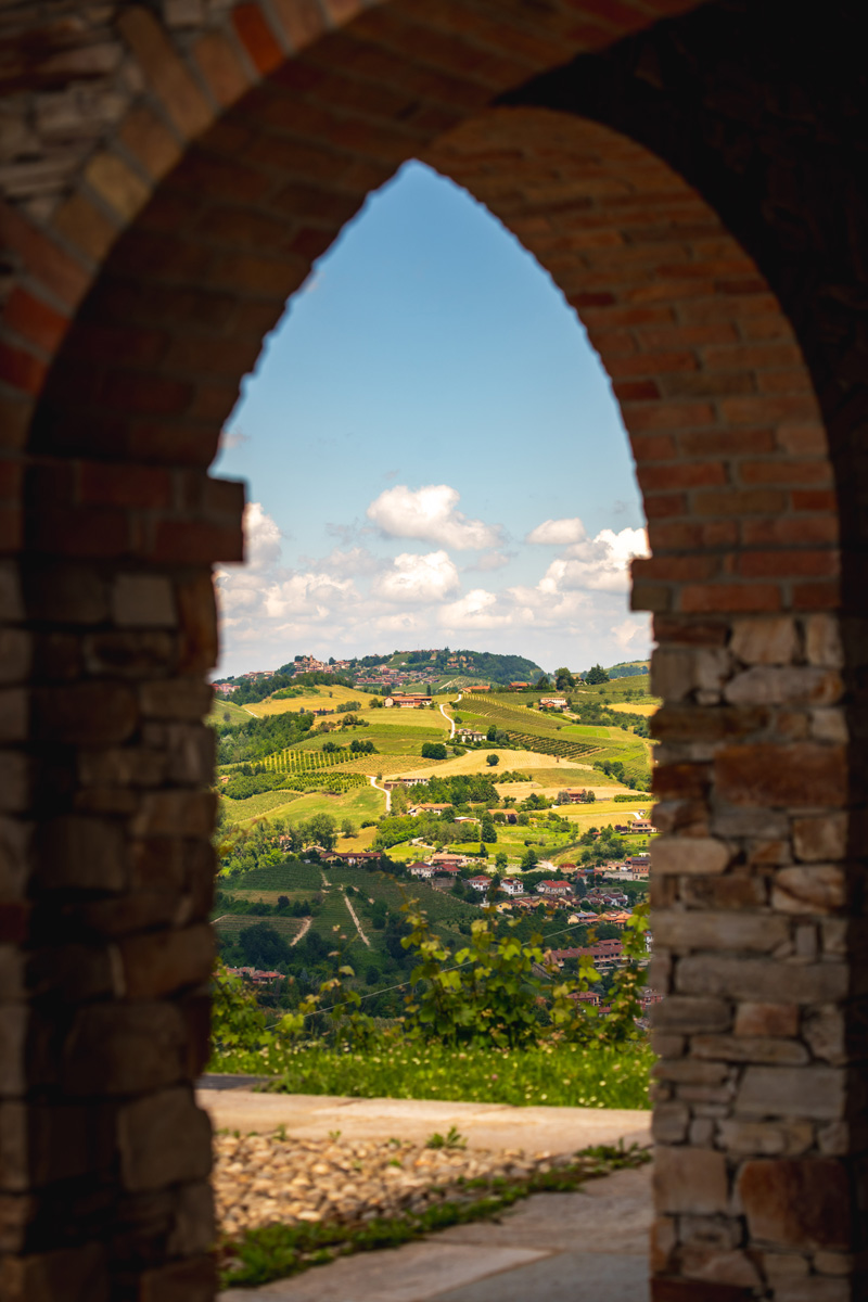 Manfredi Cantine